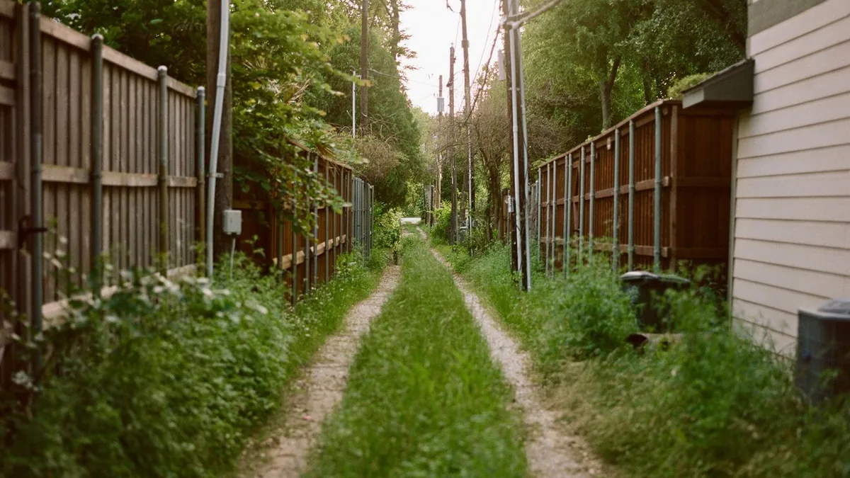 住宅の敷地の境目に生い茂った雑草のイメージ写真